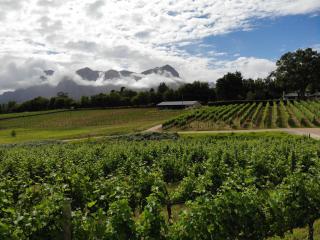 Le Pommier Wine Estate - 5