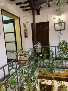 Pension Lisdos - 7