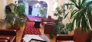 HOTEL ALL TIMES - Timișu de Jos - 2