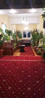 HOTEL ALL TIMES - Timișu de Jos - 4