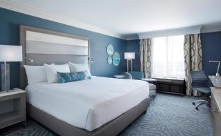 Rosen Centre Hotel Orlando Convention Center - Orlando - 9