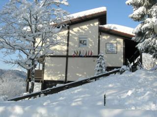 Ferienwohnung Vogel - Siegsdorf - 9