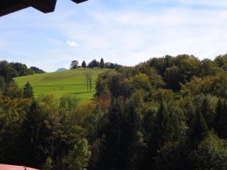 Ferienwohnung Vogel - Siegsdorf - 7