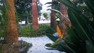 Finca Primavera - 1