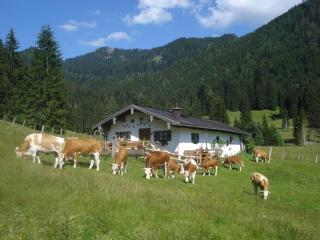 Schneider-Hof inkl. Chiemgaukarte - Ruhpolding - 4