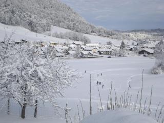 Schneider-Hof inkl. Chiemgaukarte - 5