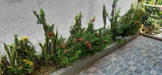 Village Acapulco - Itacimirim/BA - Itacimirim - 5