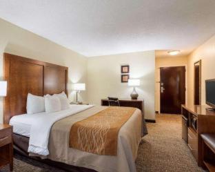 Quality Inn Olive Branch - 9