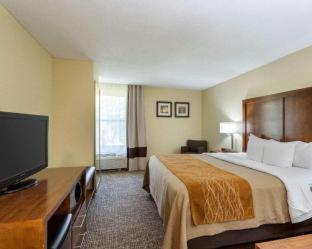 Quality Inn Olive Branch - 8