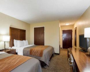 Quality Inn Olive Branch - 4