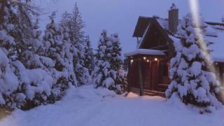 Cabane- Vila Crinul si Teodor Poiana Brasov - Poiana Brasov - 1