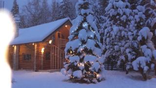 Cabane- Vila Crinul si Teodor Poiana Brasov - Poiana Brasov - 3