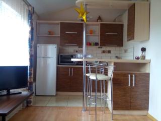 Studio apartments in center MINI 5 поверх Без ліфту - Ivano-Frankivsk - 4