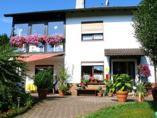 Apartment in Werratal with terrace - Großalmerode - 0