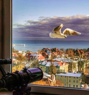 Pokoje przy plaży z widokiem na morze - Sopot - 3