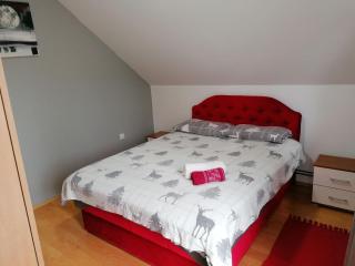 Apartmani Vasić - Banja Koviljača - 9