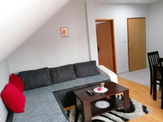 Apartmani Vasić - Banja Koviljača - 6