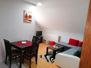 Apartmani Vasić - Banja Koviljača - 5
