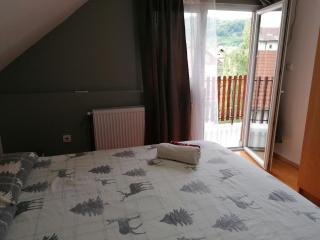 Apartmani Vasić - Banja Koviljača - 4