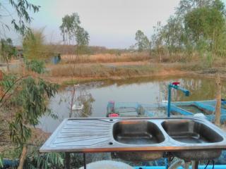 บ้านพักกลางนา - Amphoe Sawang Daen Din - 2