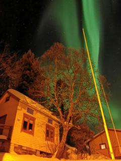 Senja Skaland - Melkarhola - 1