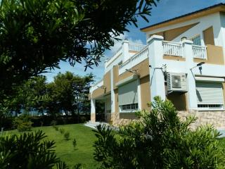 晴川樹 - Taitung City - 9