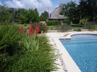 La Griotte & Spa&Piscine - Pennedepie - 1