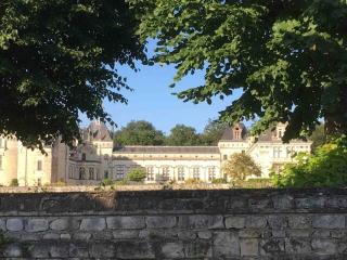 Auprès du château - Brézé - 3