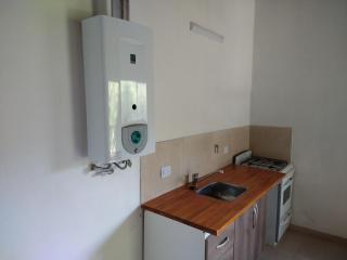 El diquecito monoambiente - 4