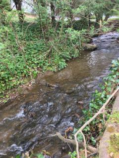 Brookside Cottages - Waynesville - 6