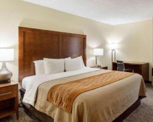 Quality Inn Olive Branch - 1