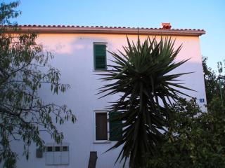 Apartments by the sea Necujam, Solta - 18664 - 8