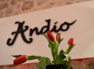 Bed&Breakfast Andio - Dubrovnik - 0