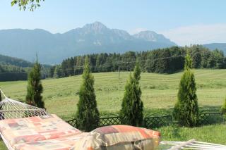 Hainbuchhof - Anger - 5