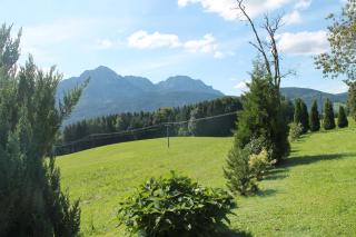 Hainbuchhof - Anger - 6