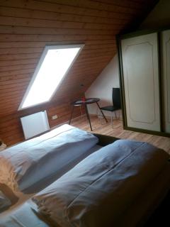 Haus Herzogenhorn - Hornberg - 2