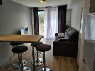 spacieux studio dans le Beaujolais - Saint-Georges-de-Reneins - 3