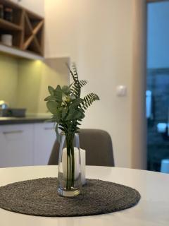 Vip House 2 - Vrnjačka Banja - 8