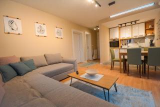 Apartman MILA Vrnjačka Banja - Vrnjačka Banja - 3