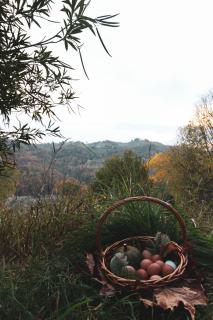 La Tenuta - Resort Agricolo - Casaprota - 7