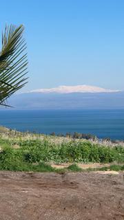 Kinneret View - Kinneret - 7
