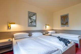 Hotel Baden-Baden - Baden-Baden - 8