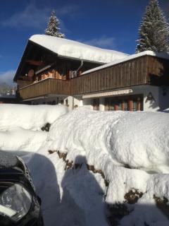 Chalet Erika - Eriz - 7