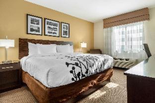 Sleep Inn & Suites Devils Lake - Devils Lake - 9