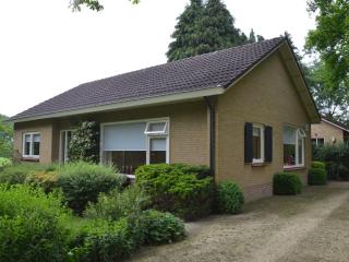 Rural holiday home, wildlife spotting Achterhoek - IJzerlo - 0