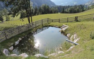 Ferienwohnung - Schladming - 5