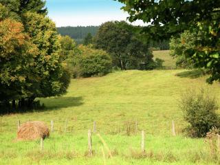 Spacious Holiday Home in Anhée Belgium - Sosoye - 4