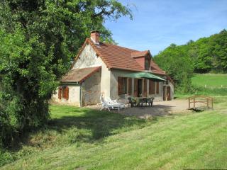 Pretty holiday home with garden near forest - Isenay - 9