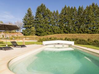 Poolside Luxury Villa in Montignac - Montignac - 6