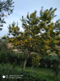 Monolocale Belvedere su Porto Rotondo - Cugnana - 4